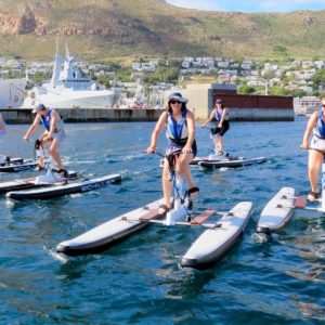 Full-Day Cape Point with a Twist