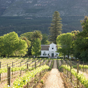 Half-Day Cape Winelands Tour