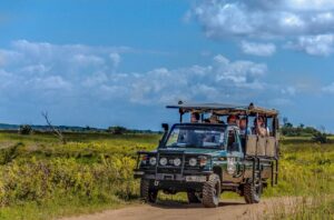 Beyond Touring Travel Direction